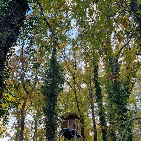 Casa Da Ti Paqueta * Сабугал