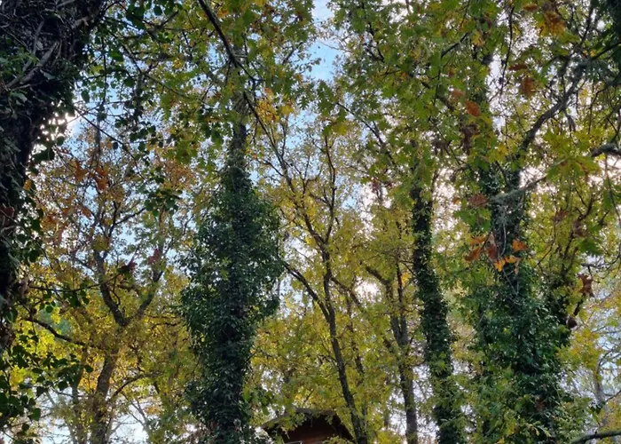 Casa Da Ti Paqueta * סבוגאל